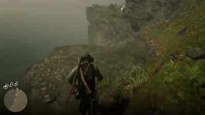 Horse was patient