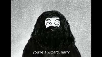 You’re a Wizard, Harry. [animation by me]