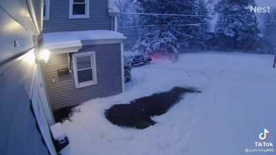 My winter tires need me