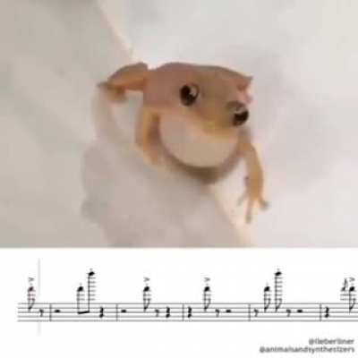 He is Very Talented