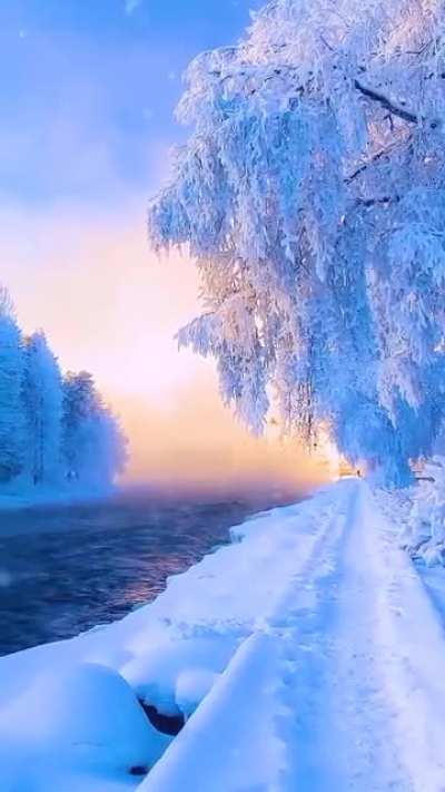 Wintery scene