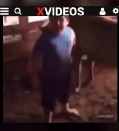 Cabalo
