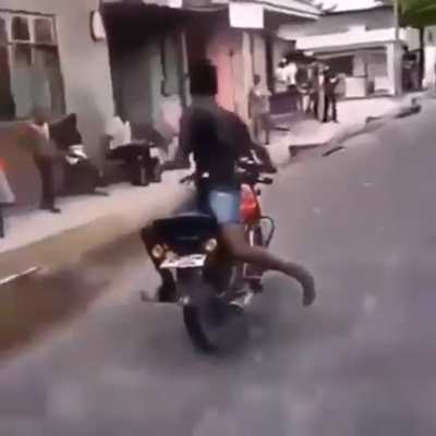 Vibes