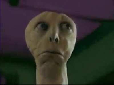 cursed_creature