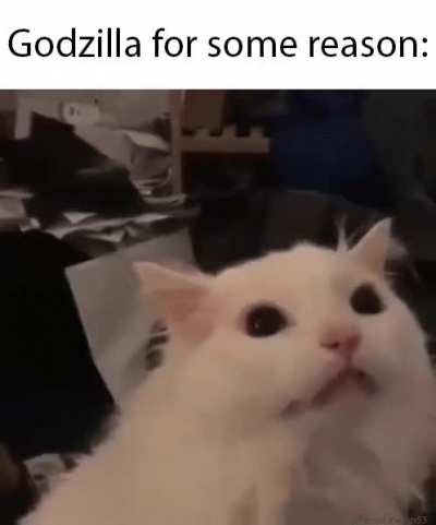 First time working with Gifs, have mercy