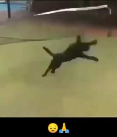 😔🙏
