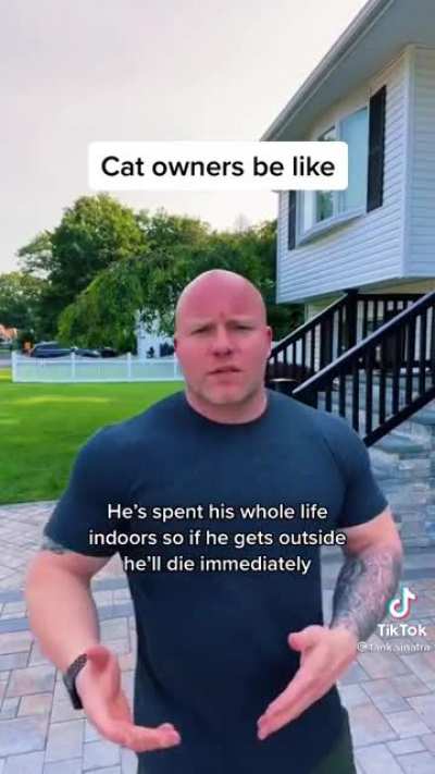 Cat owners be like: