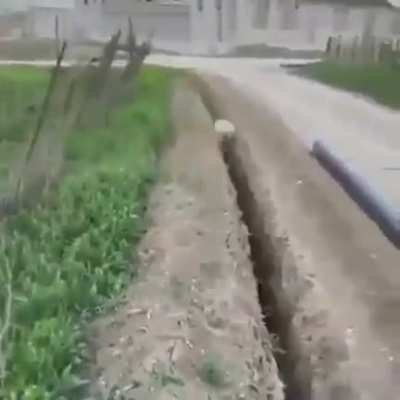 Weeeee