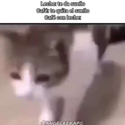 Nombre de la canción Brain Power