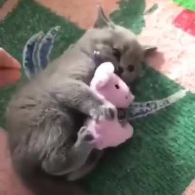 Don't touch my toy this s mine.