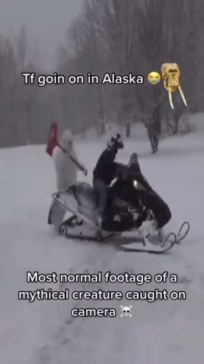 this is why nobody lives in alaska