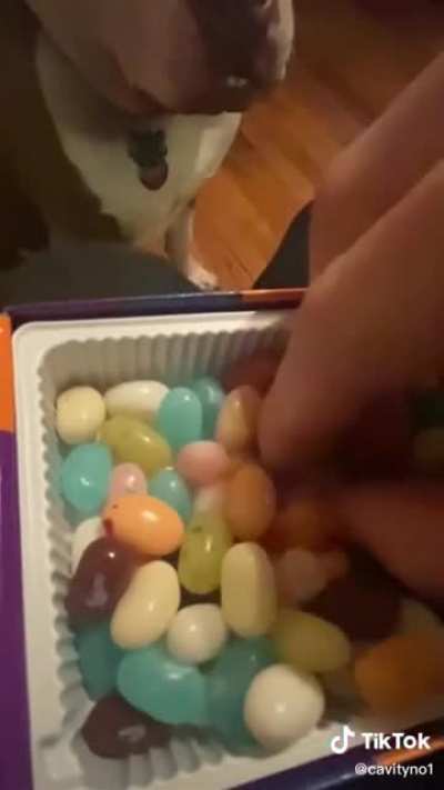 NOOOOO