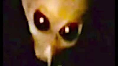 aliens