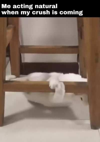 me_irl