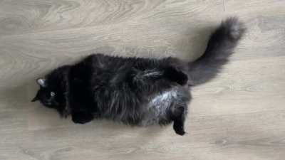 The way her belly squeezes when she trills