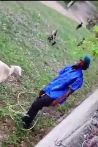To shag a goat.
