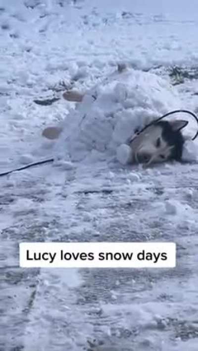 Snow Days