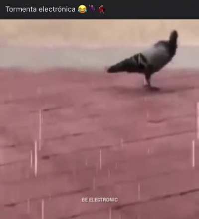 Para una buena. Intro XD