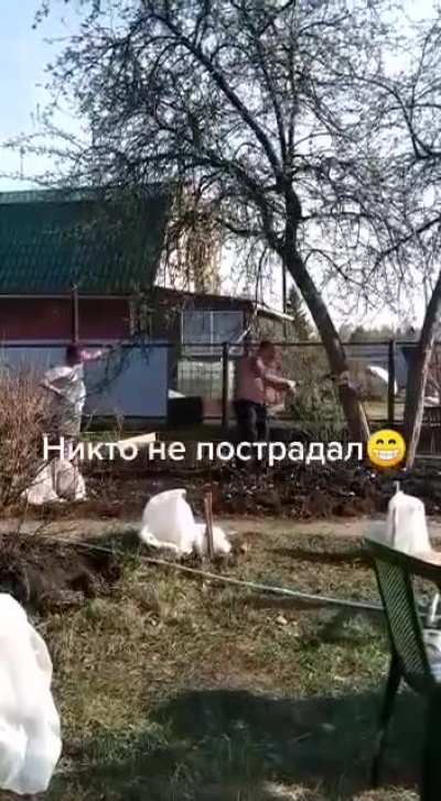 Cutting down a tree