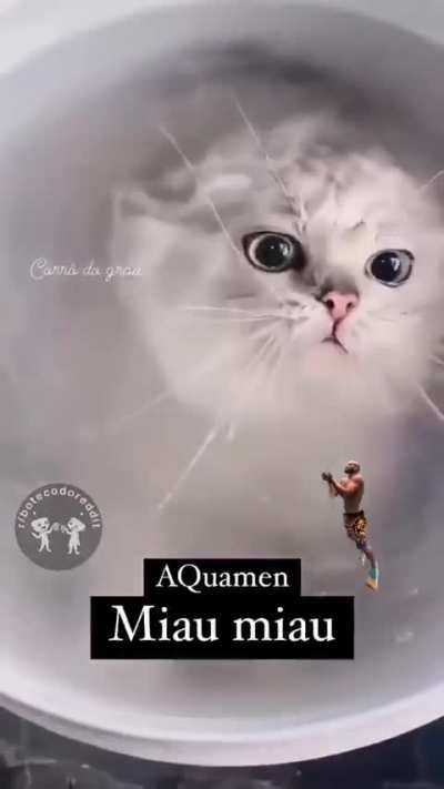🙀 