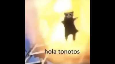 Hi