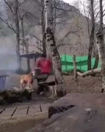 Ala mierda pariente 