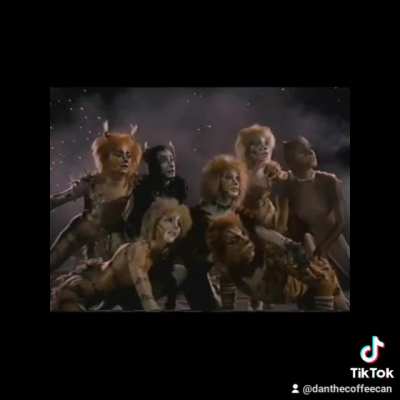 If Cats the musical and Vine met