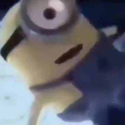 You're going to 🅱️ R A Z I L.