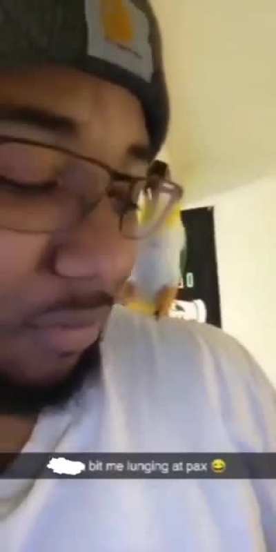 My brothers bird isn't a fan of the new dog