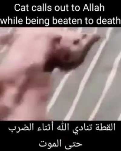 haram human