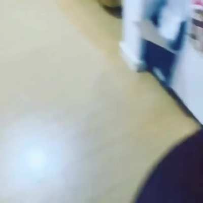 Run doggo run!