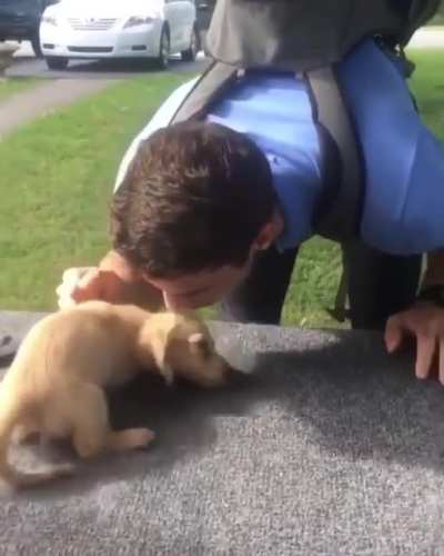 Little pup gets so excited when her hooman dad returns from work.