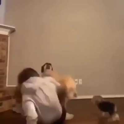 WTF is happening here?