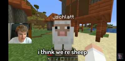 Thats not a sheep
