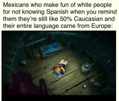 The Mexicans of this SubReddit:
