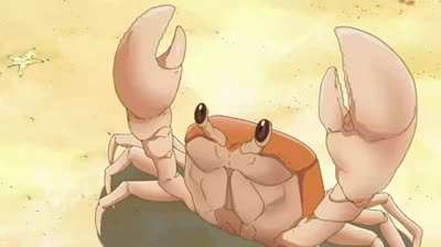 aww little crab, wait what.......