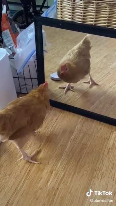 When you lose a fight against yourself