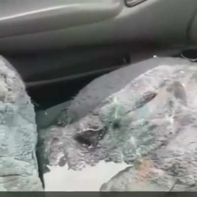 How'd you manage that?