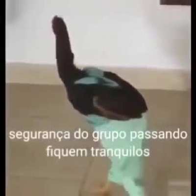 Ele eata de olho.