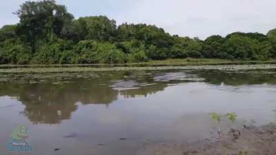 Just some calm fishery here..