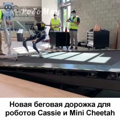 Робомяу #35: подборка новостей робототехники за месяц