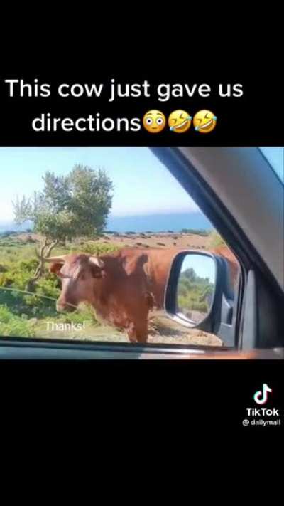 Friendly locals