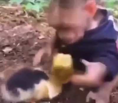 Monkey must be wary of duck