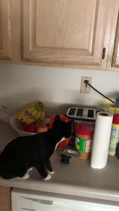 Ed is NOT a fan of the toaster