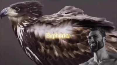 My brain at this very moment
