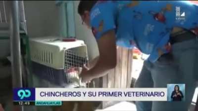 Real talk: Los cuyos están bien sabrosos alv