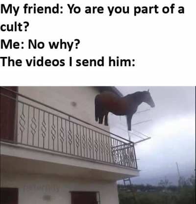 Juan