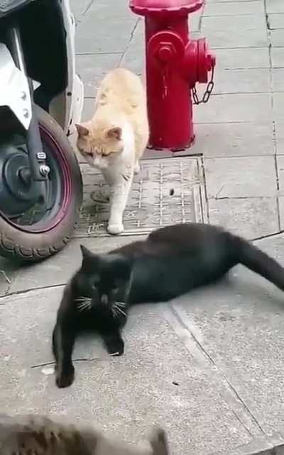 She catches him red handed with other girl 😂😆