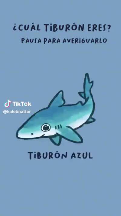 🦈