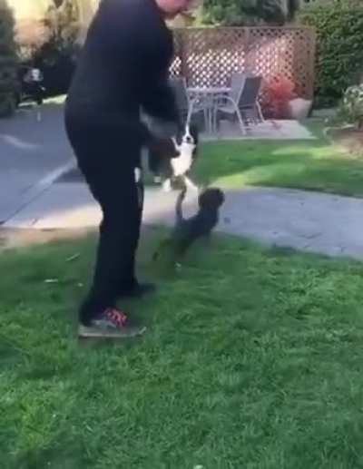 Poor cat.